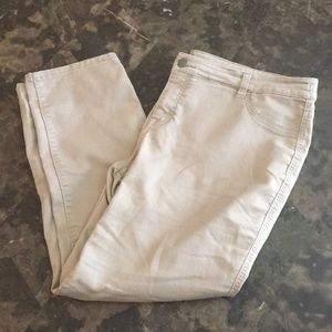 Style & Co Khakis Size 16W